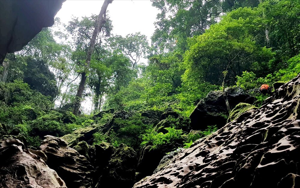 Tour Du Lịch Quảng Bình 2019 ( Rừng nguyên sinh trong hang vòm)