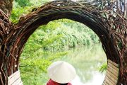 Tour Động Phong Nha - Công viên ozo 1 ngày