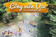 Tour Công viên OZo - bãi biển đá nhãy 1 ngày