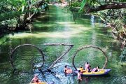 Tour Động Phong Nha - Công viên ozo 1 ngày